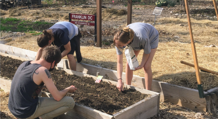 Permaculture Initiative